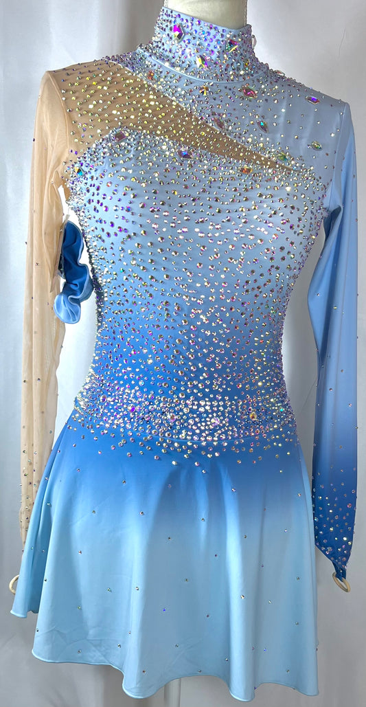 Adult Small Blue Ombre freestyle dress